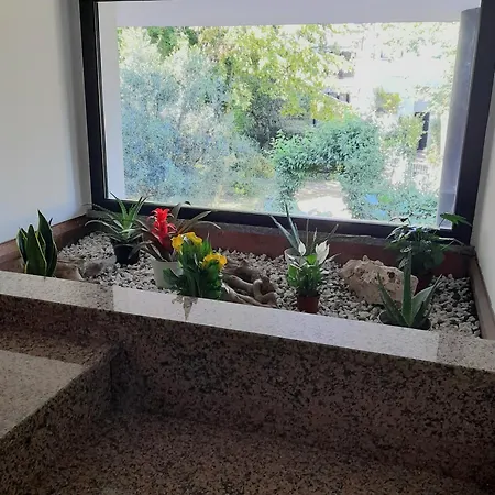 Aromatika, B&b, Πανσιόν