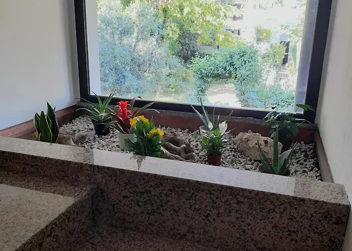 Aromatika, B&b, Konukevi